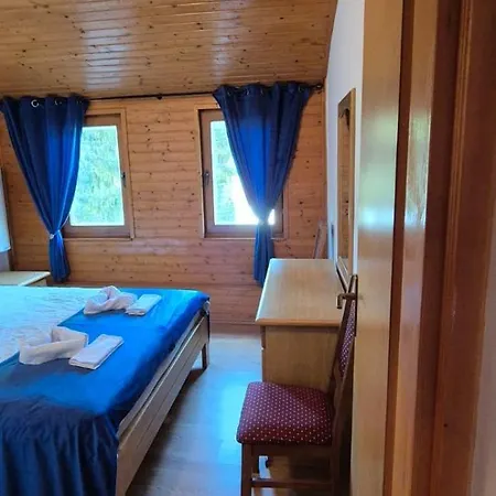 Apartment Viktory