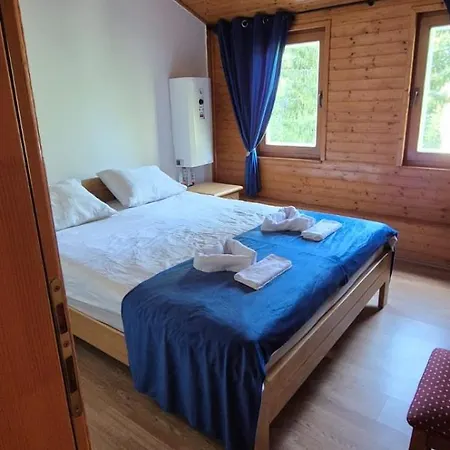 Apartment Viktory